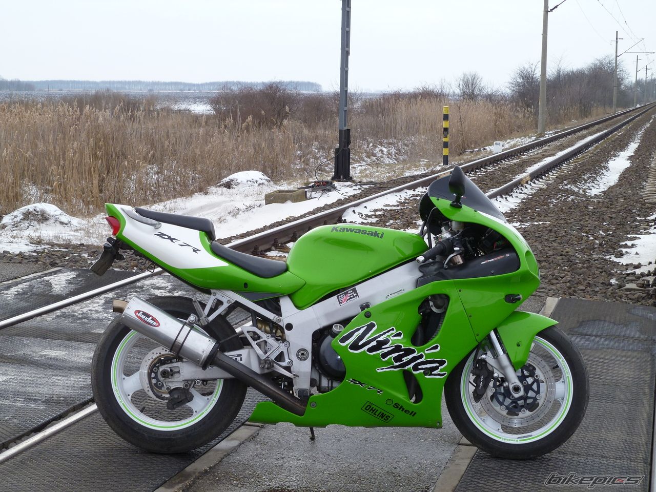 Photo 2509896