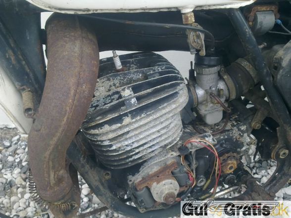 Photo 2509957