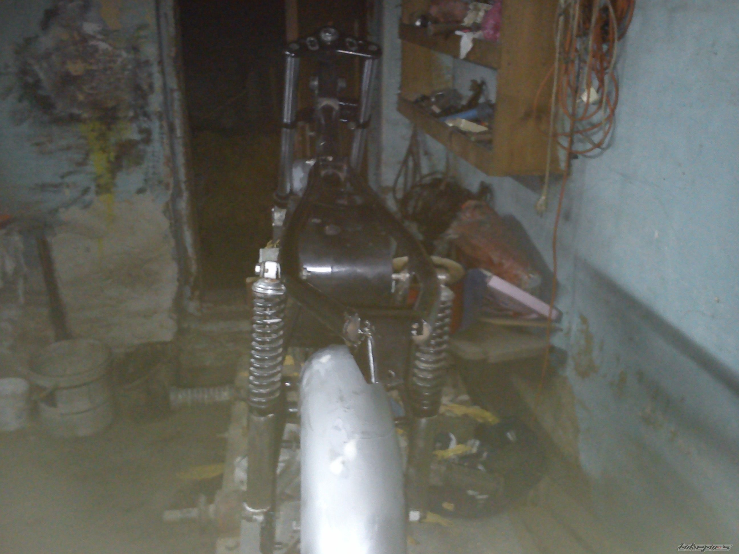 Photo 2510012