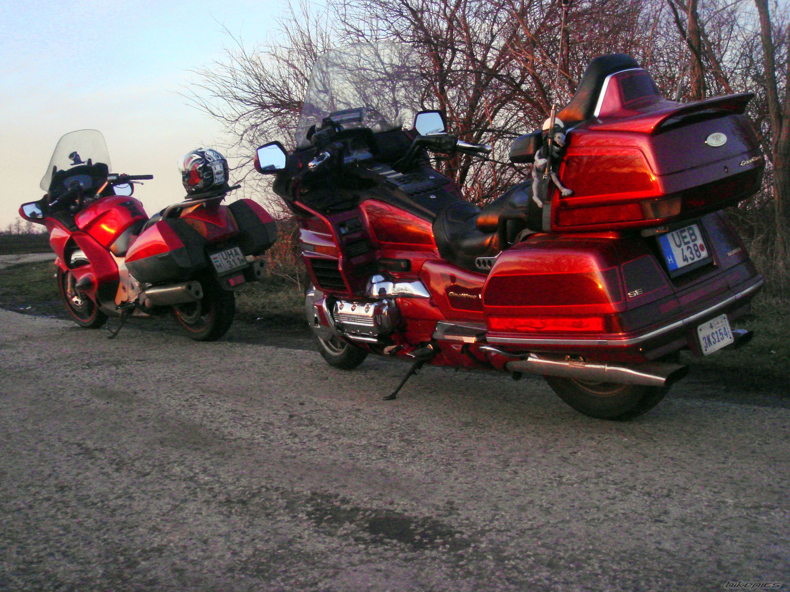 Photo 2510055
