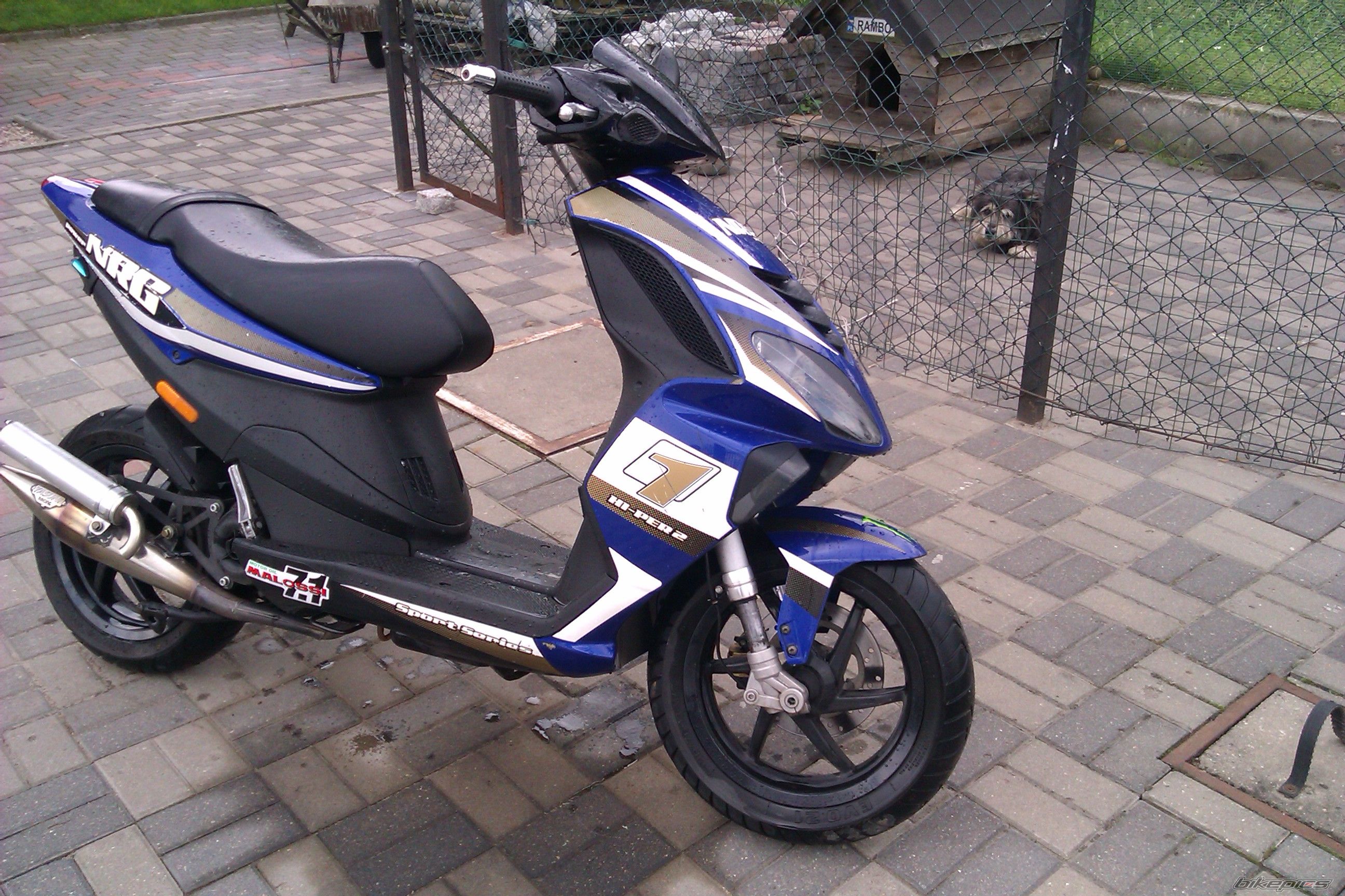Photo 2510089