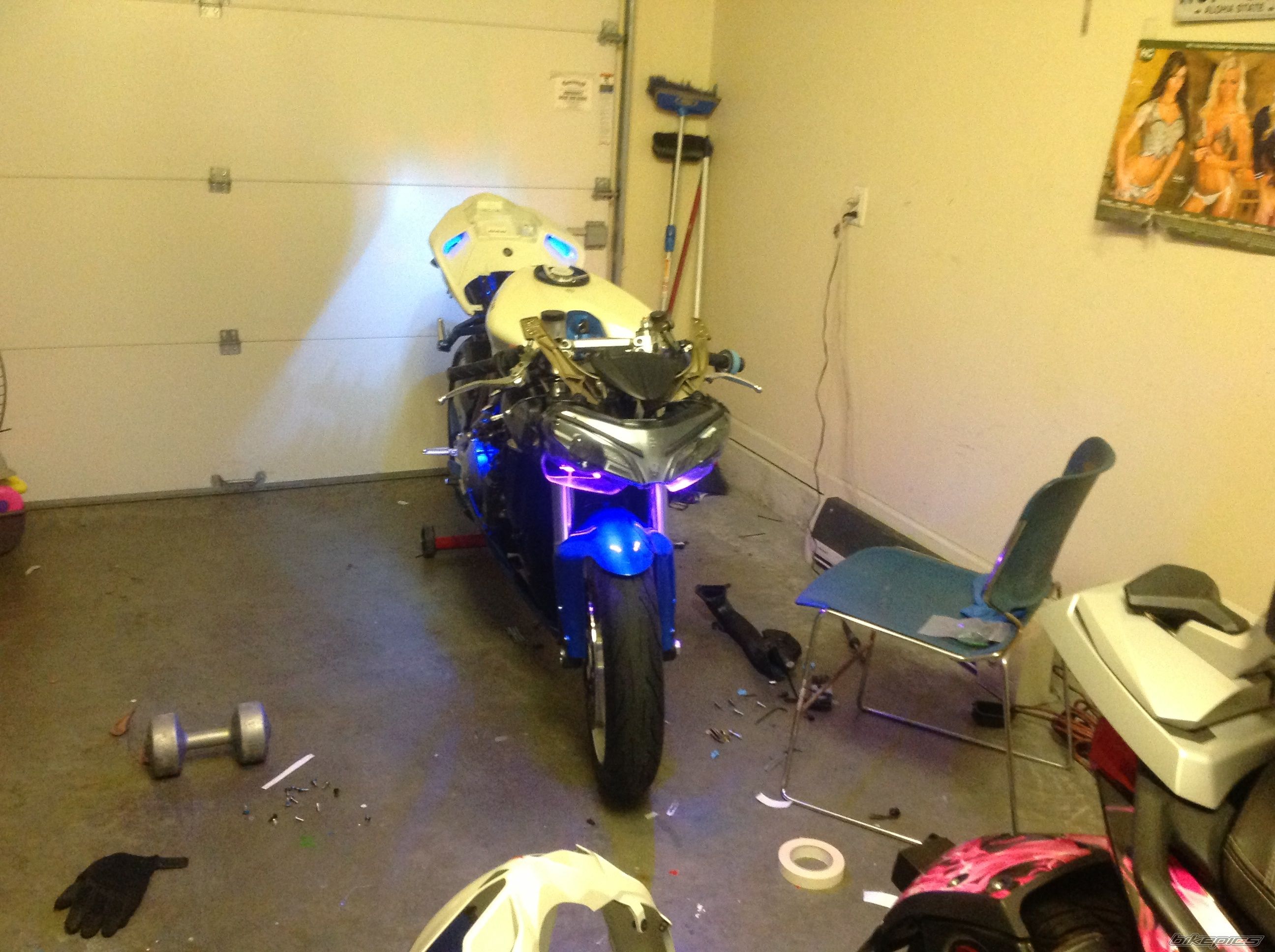 Photo 2510386