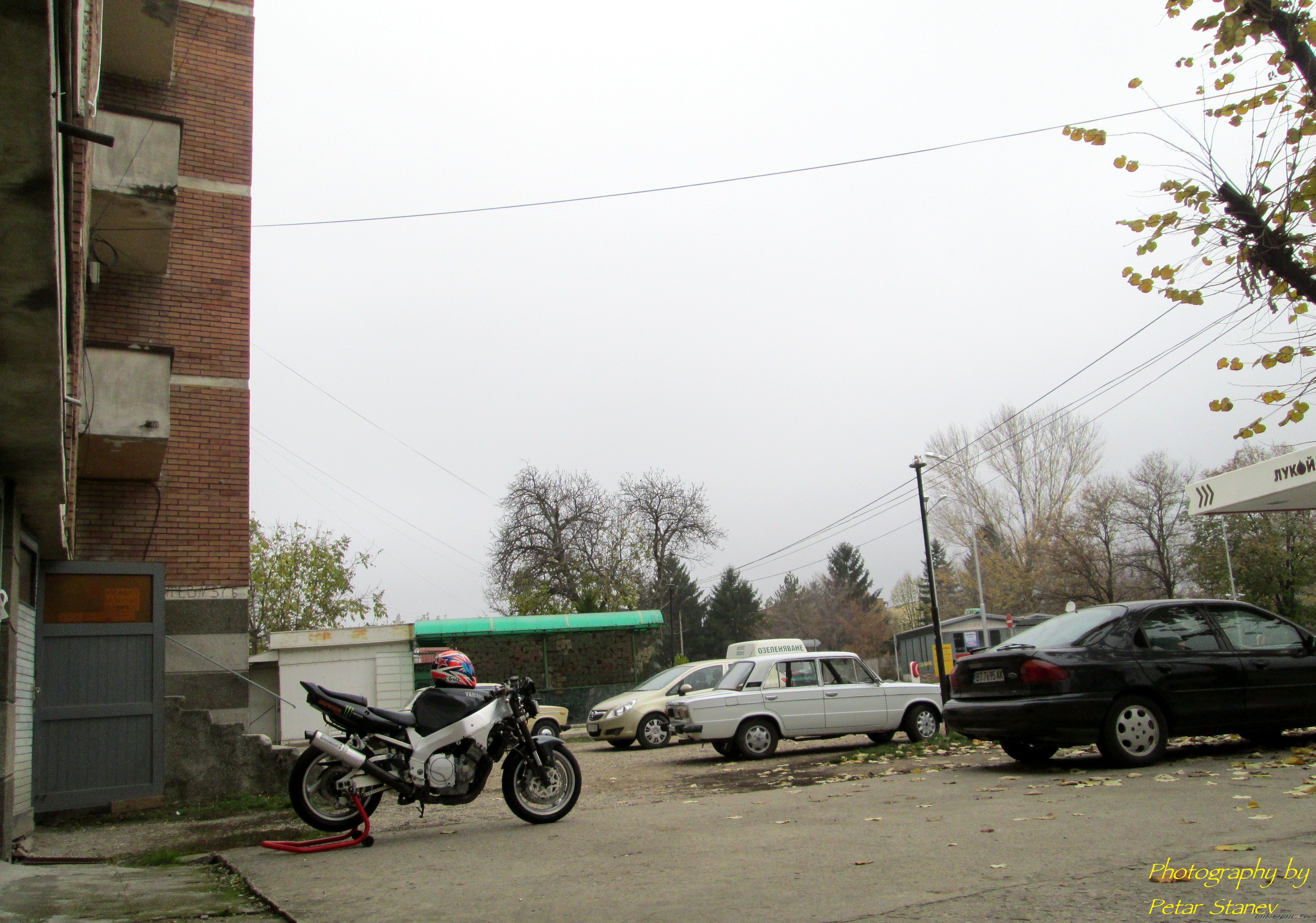 Photo 2510558