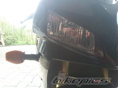 Photo 2510754