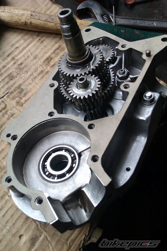 Photo 2510894