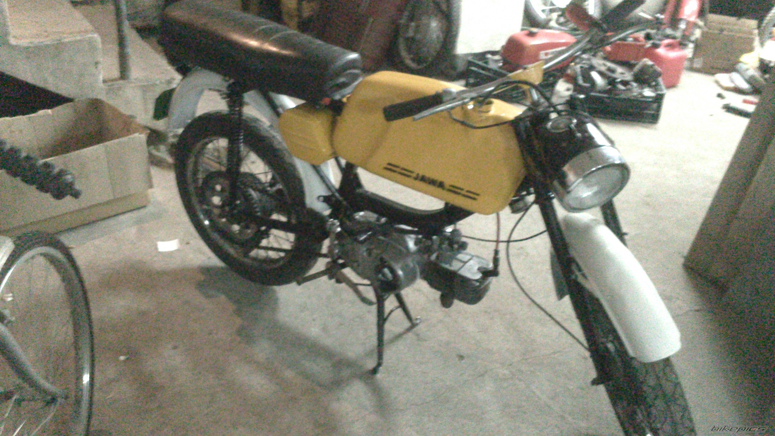 Photo 2511004