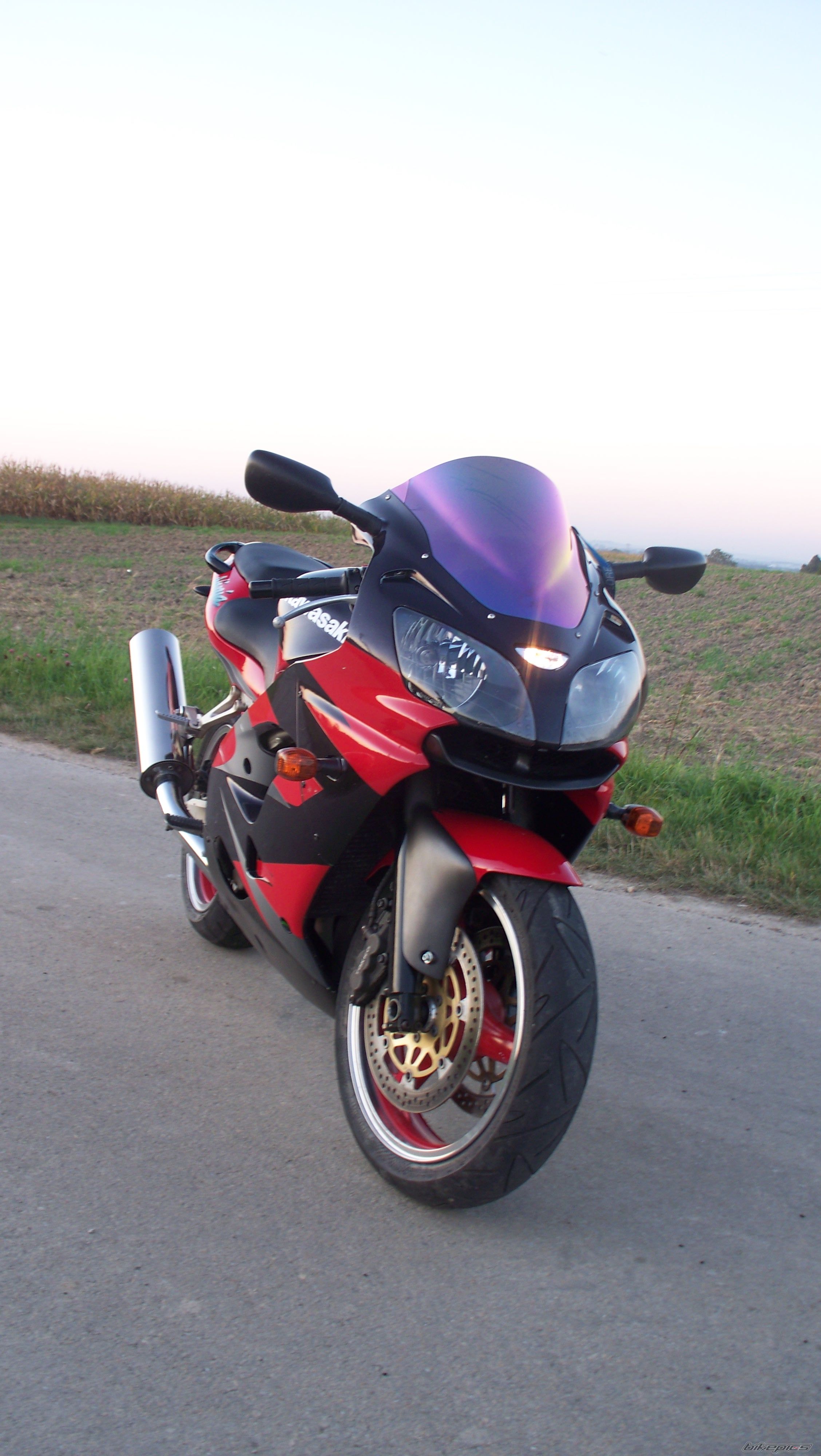 Photo 2511293