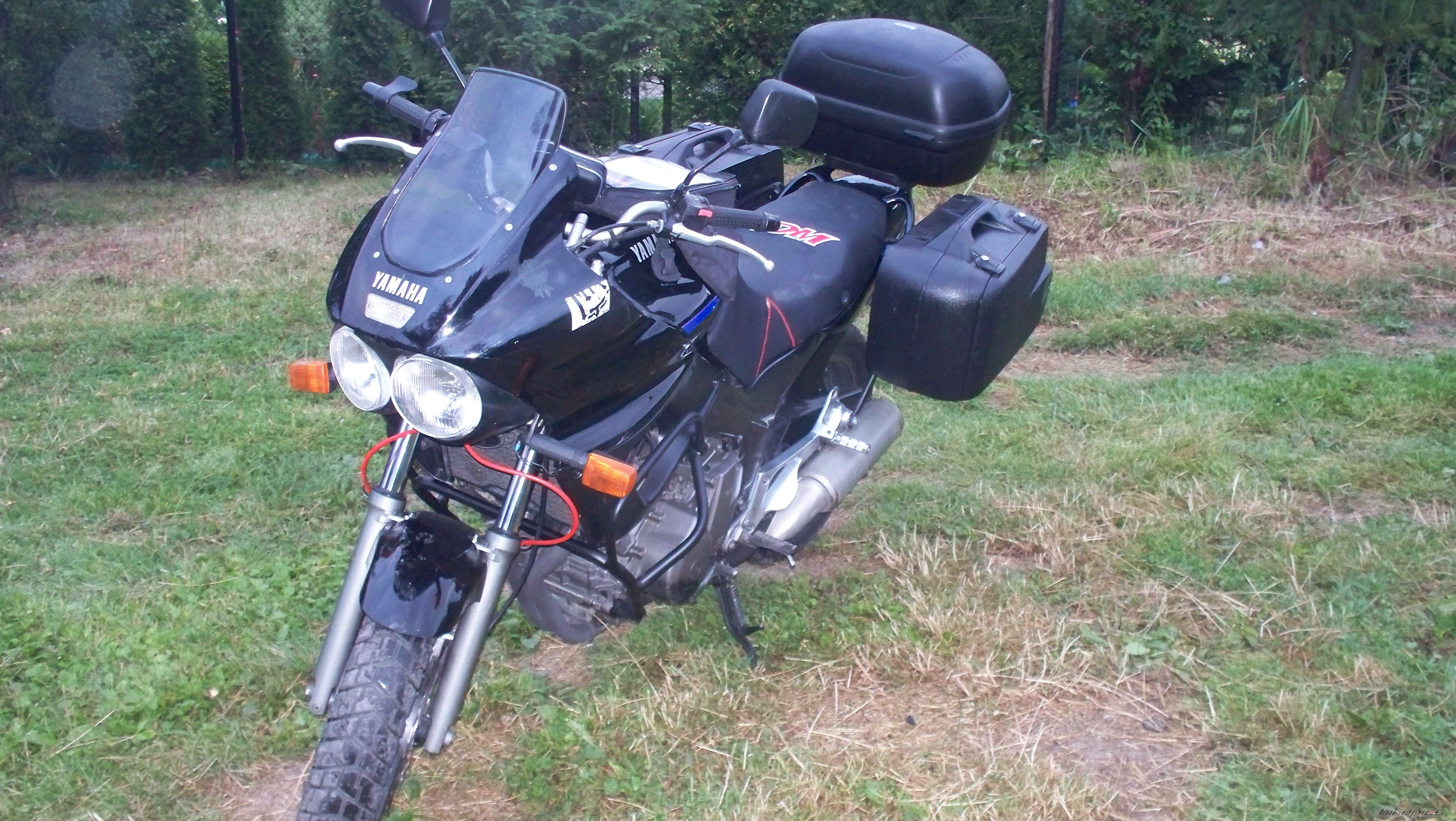 Photo 2511297