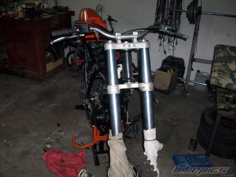 Photo 2511315