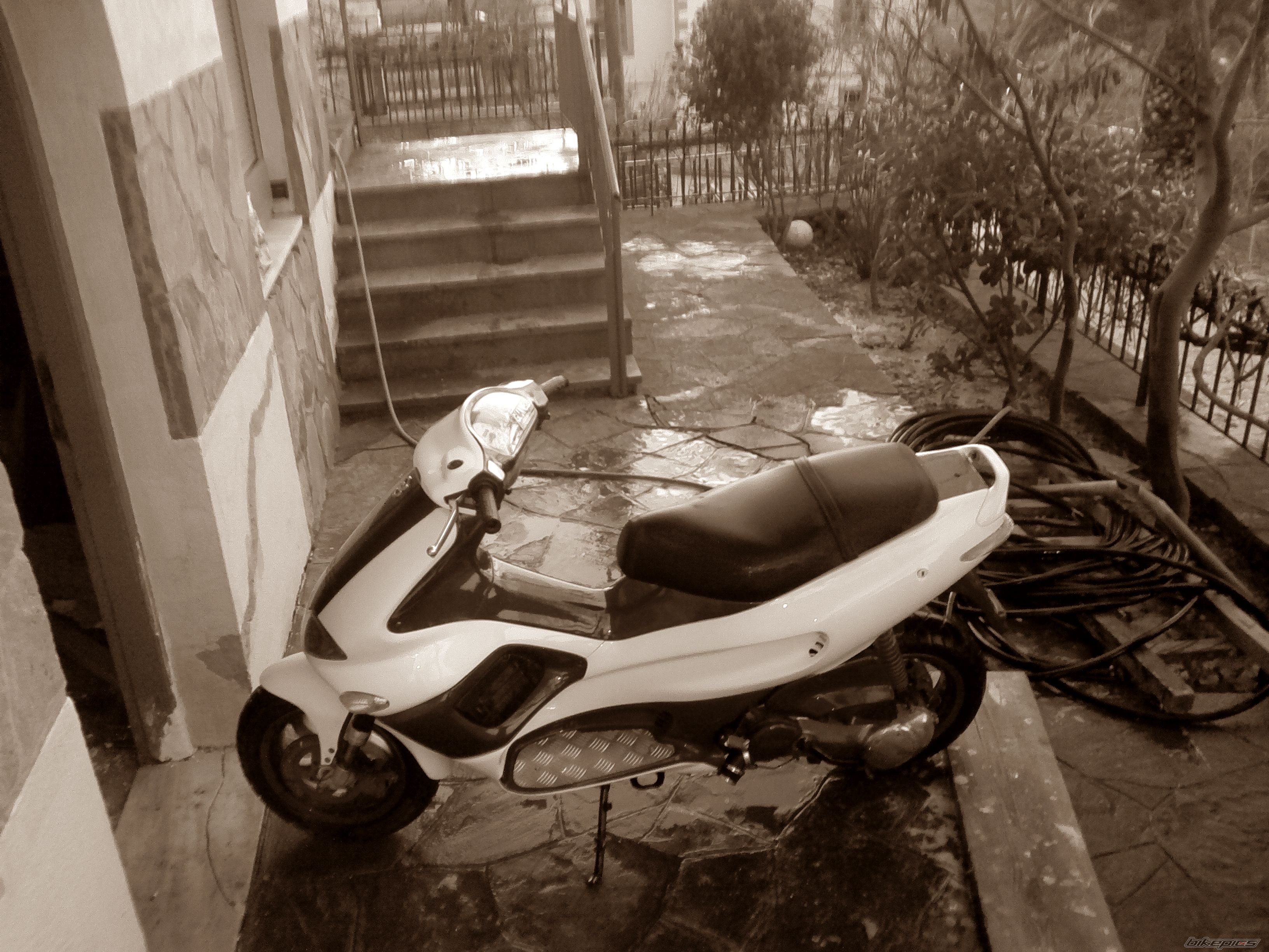 Photo 2511327