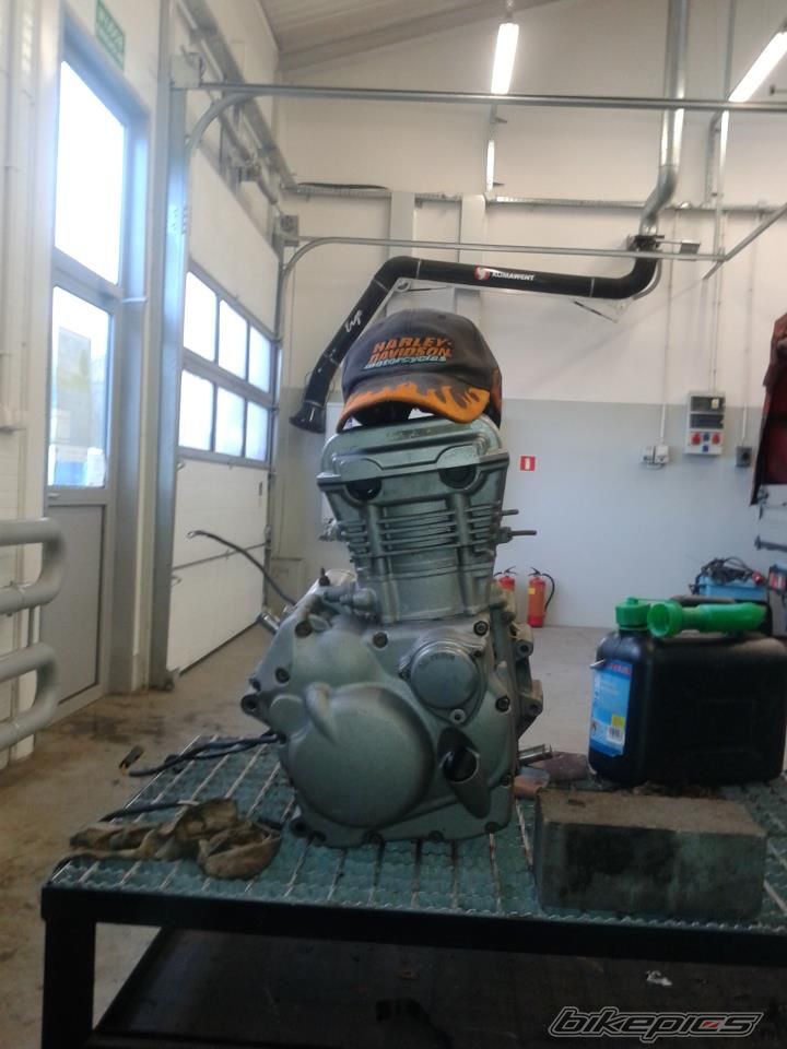 Photo 2511425