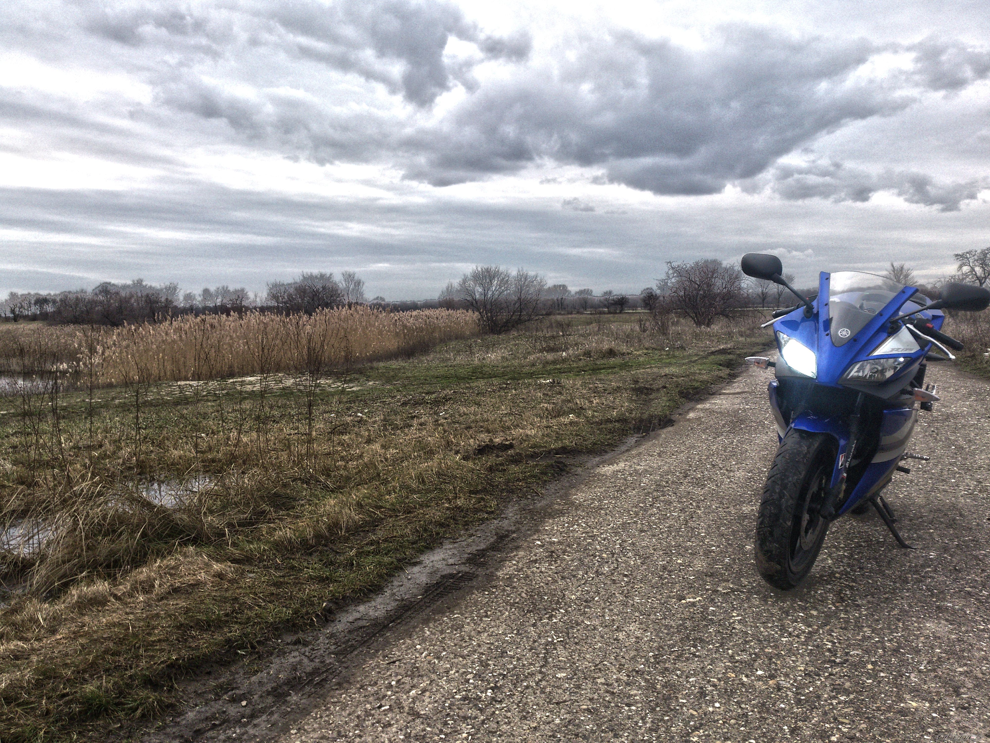 Photo 2511429