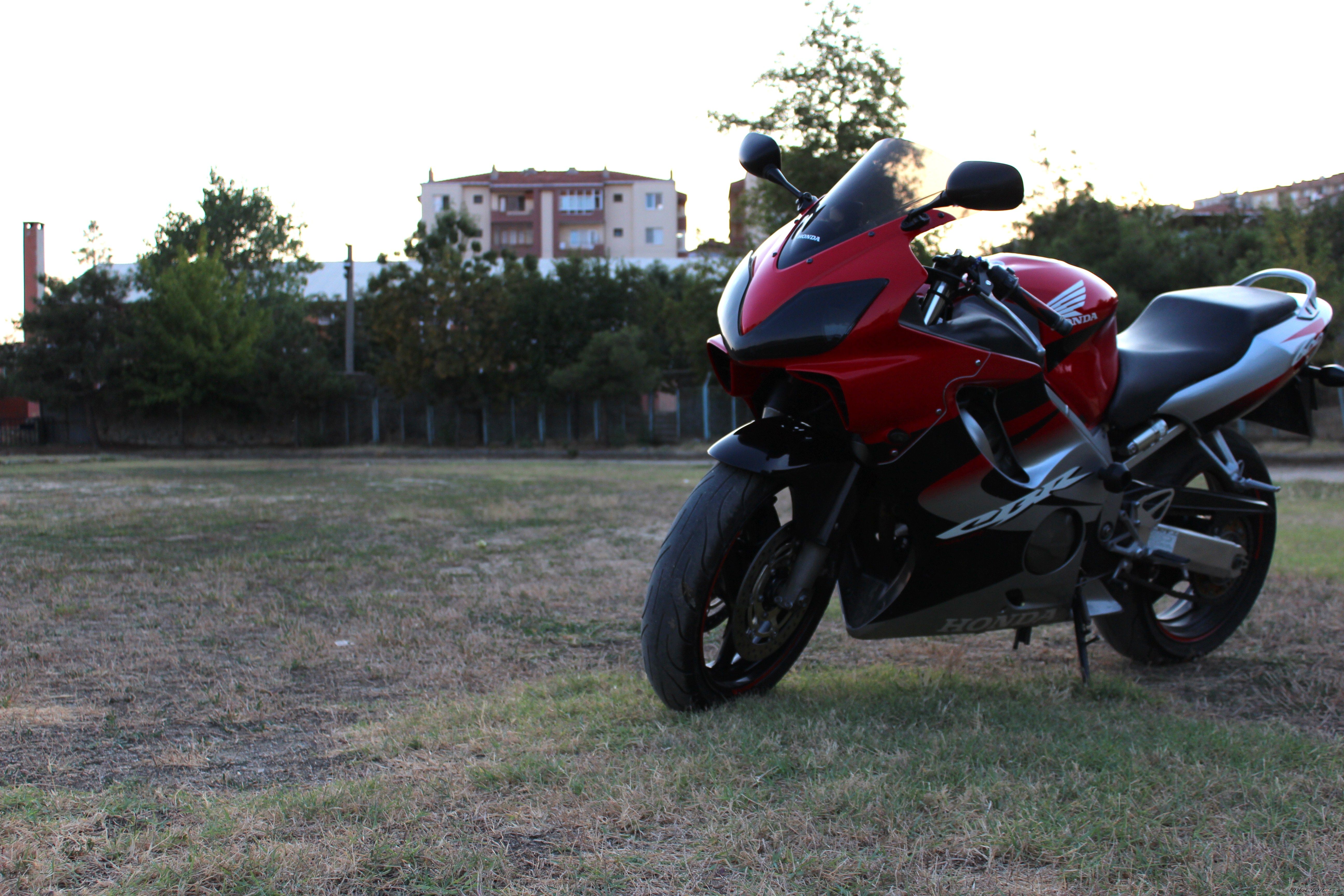 Photo 2511499