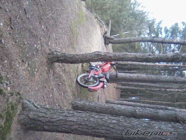 Photo 2511567