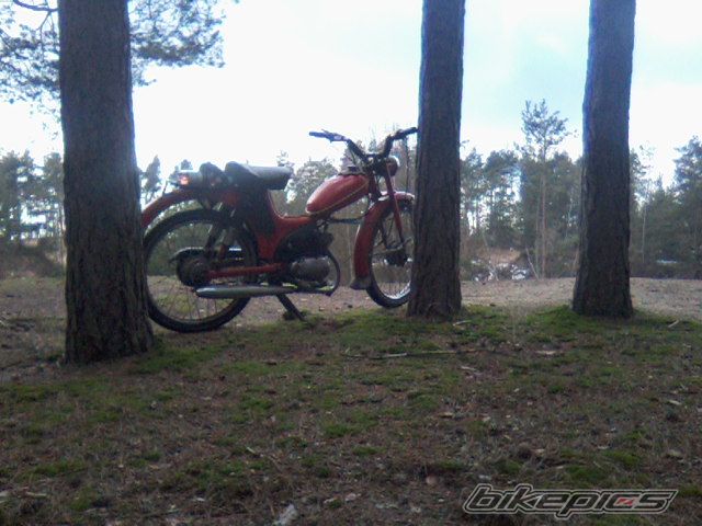 Photo 2511568