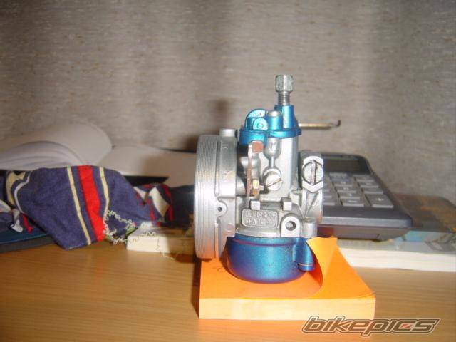 Photo 251169