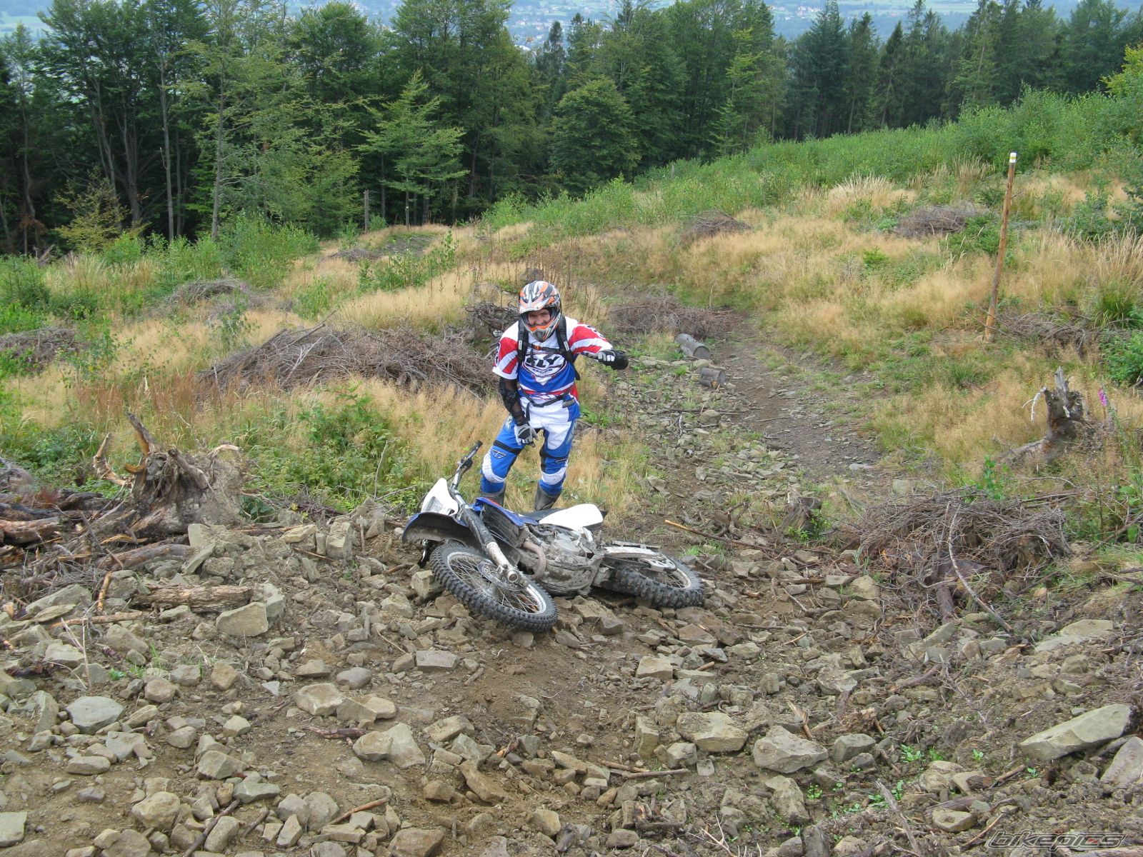 Photo 2511708