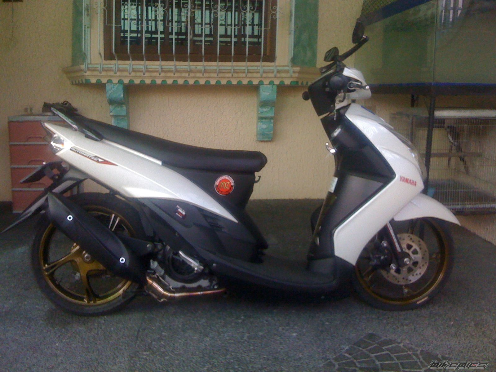Photo 2511791