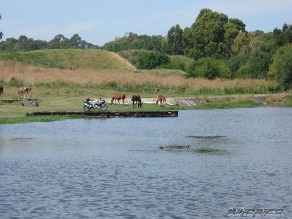Photo 2511796