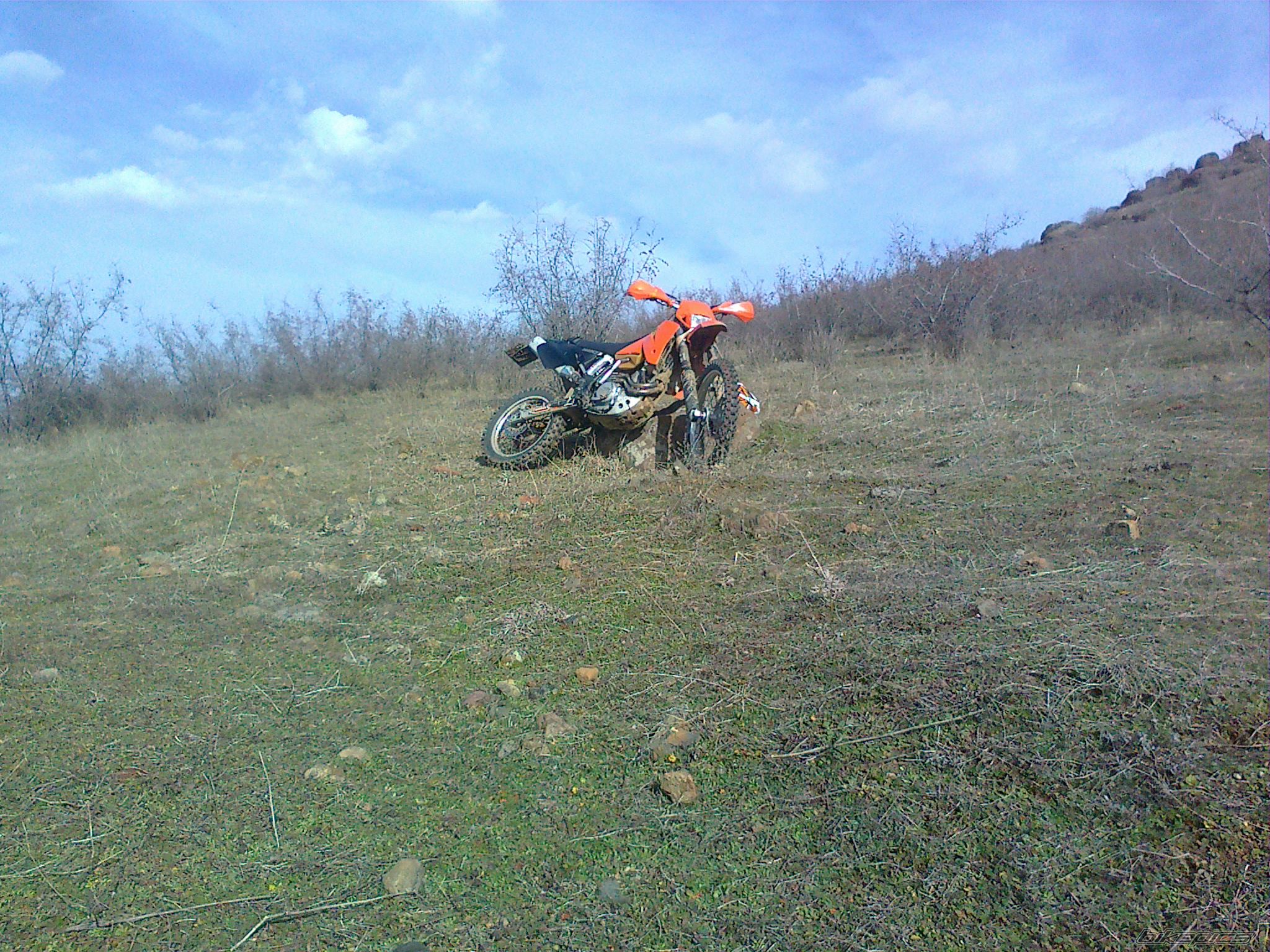 Photo 2511807