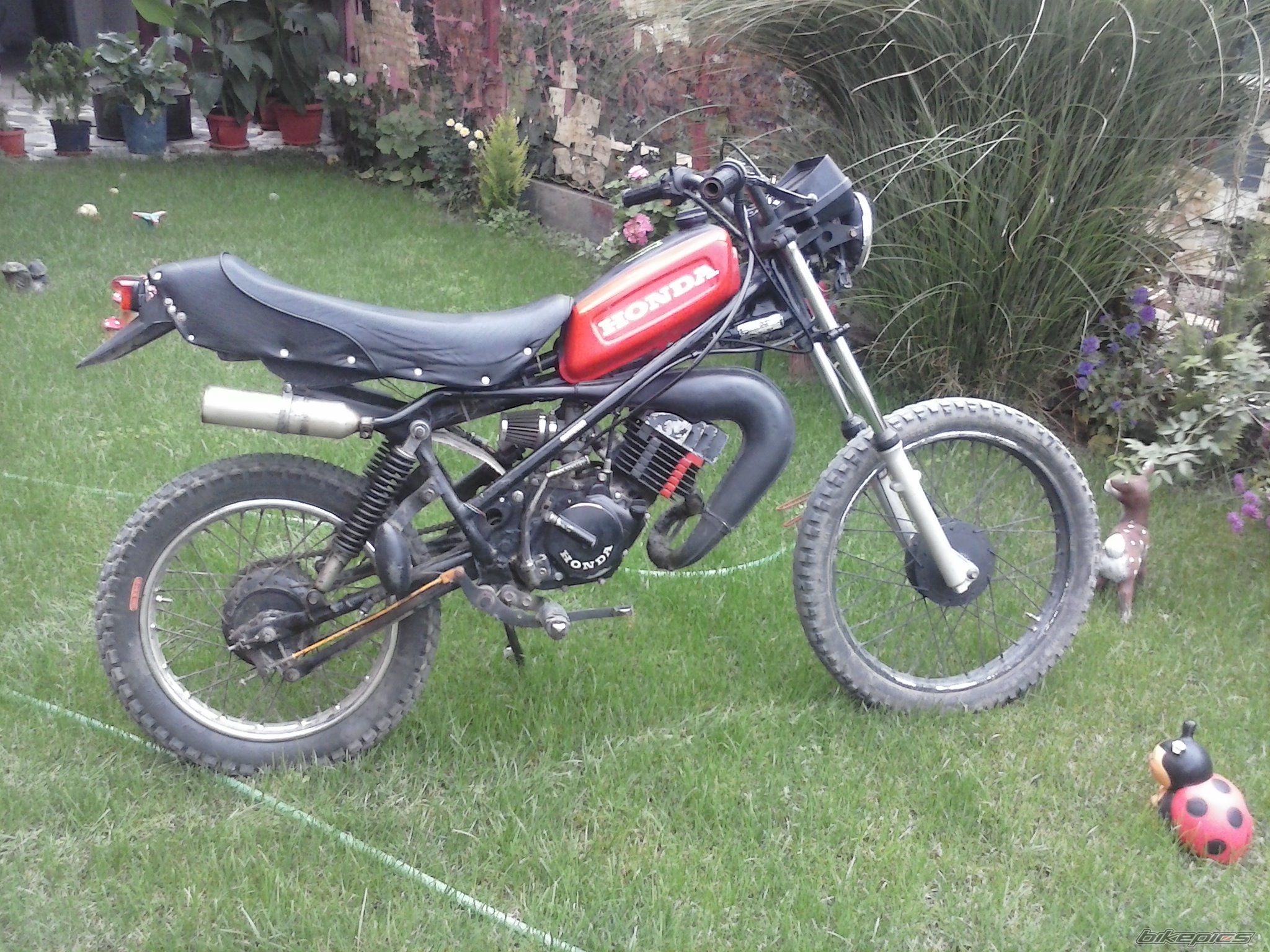 Photo 2511832