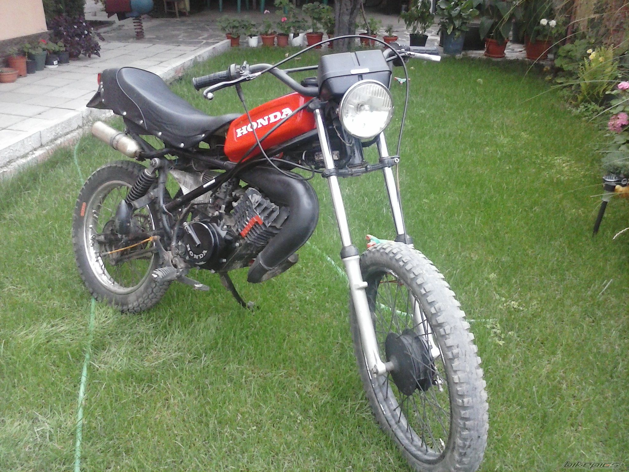 Photo 2511834