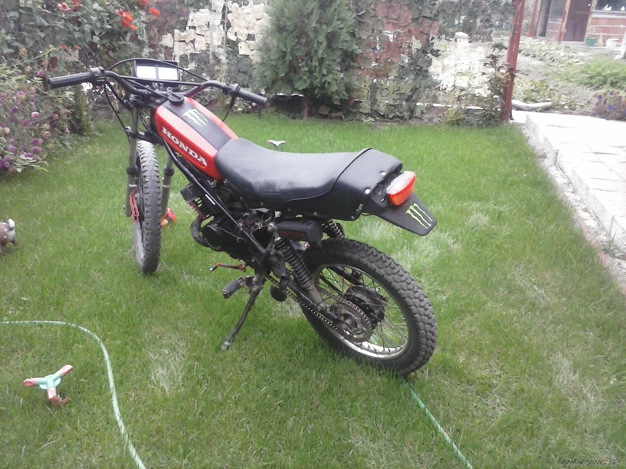 Photo 2511835