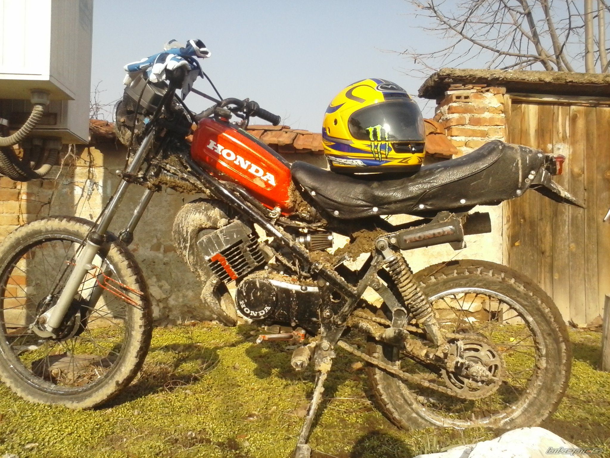 Photo 2511839