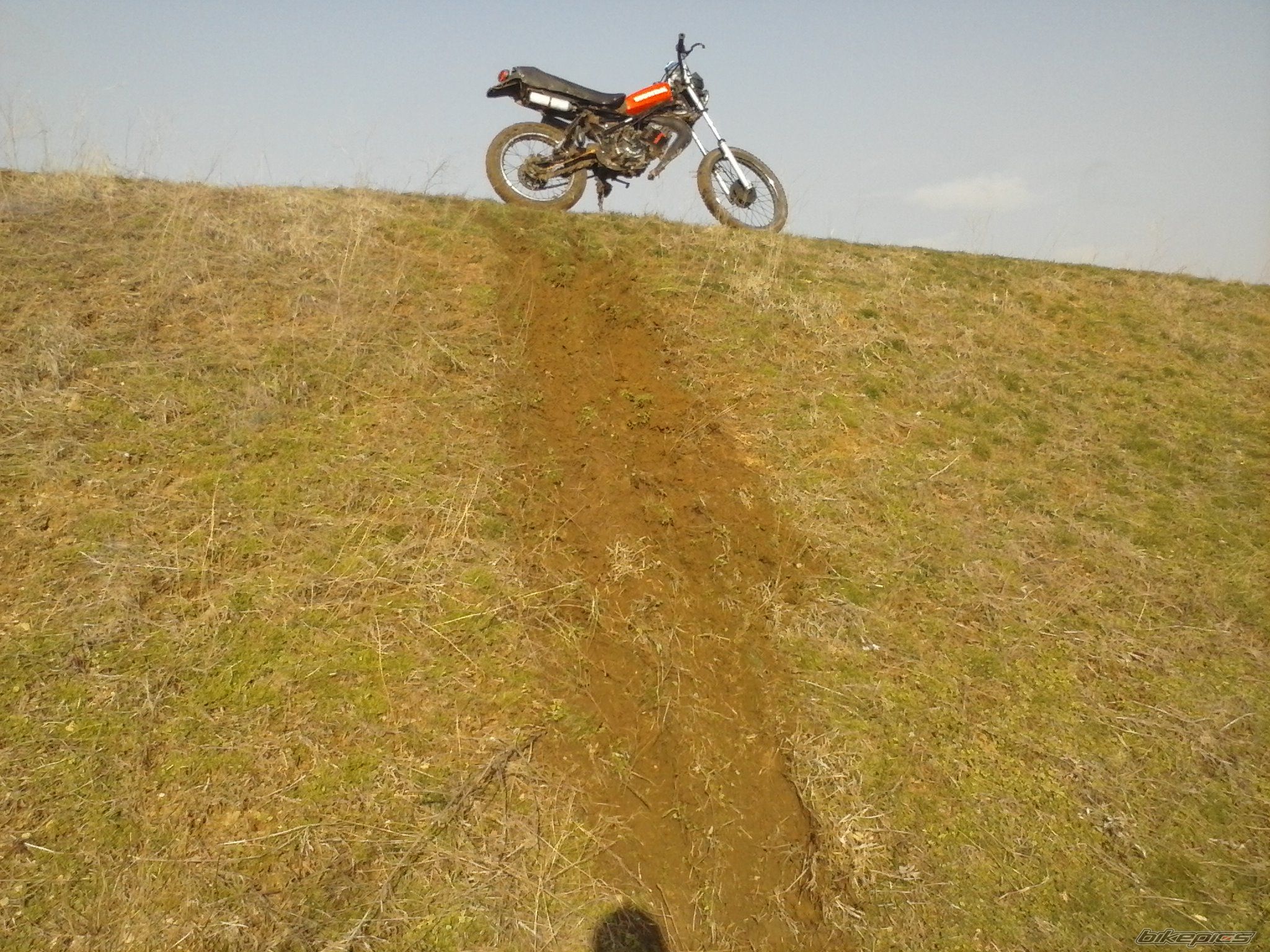 Photo 2511841
