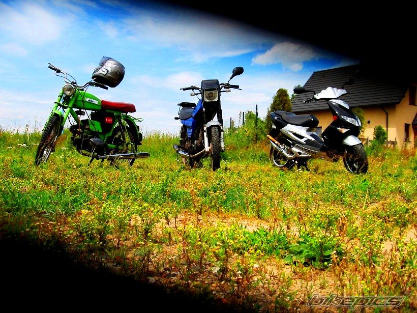 Photo 2511880