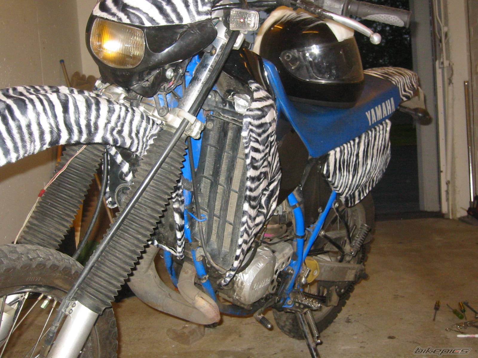 Bike Photo 251191