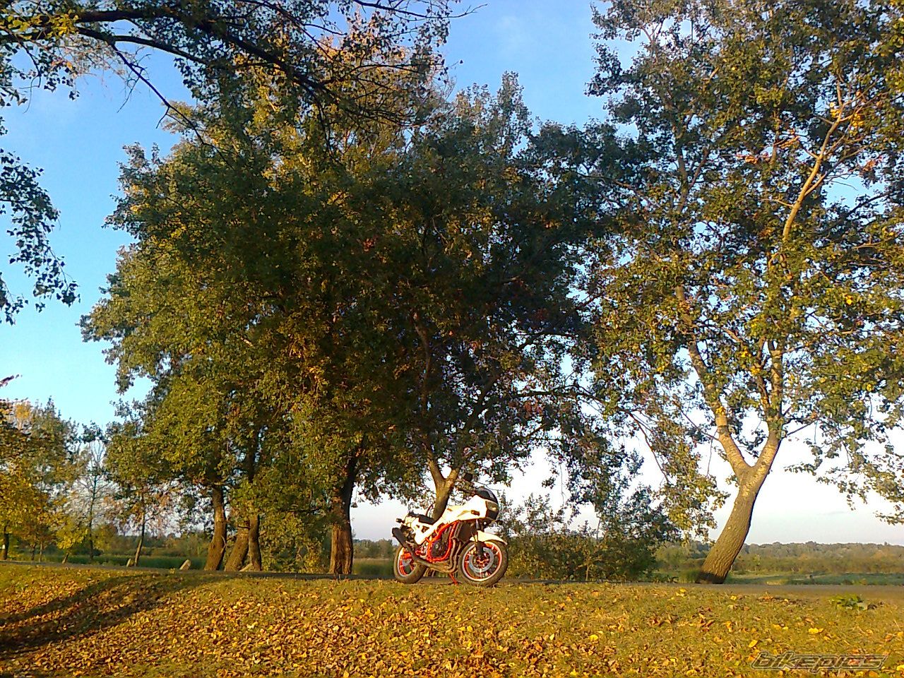 Photo 2512057