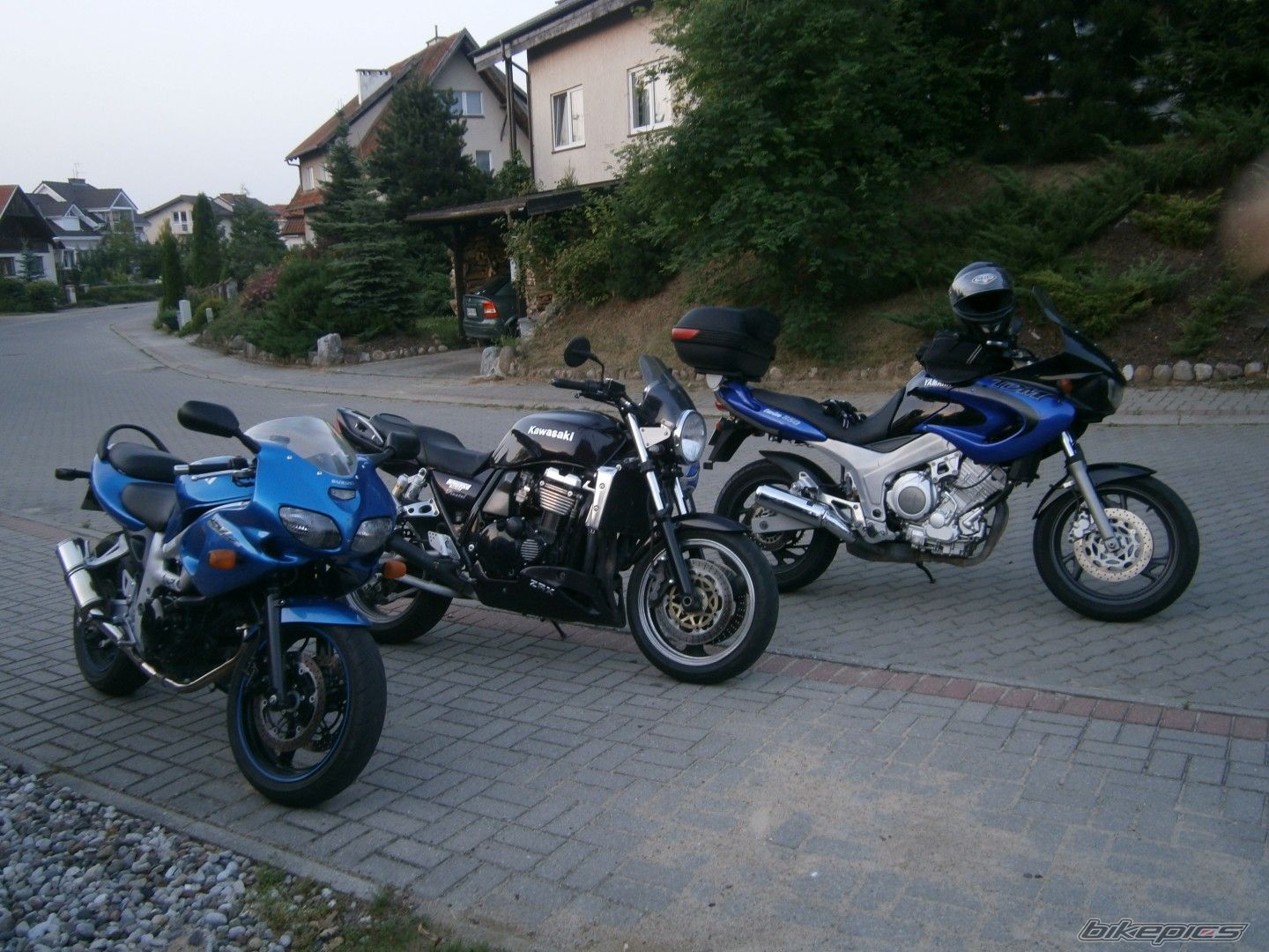 Photo 2512205