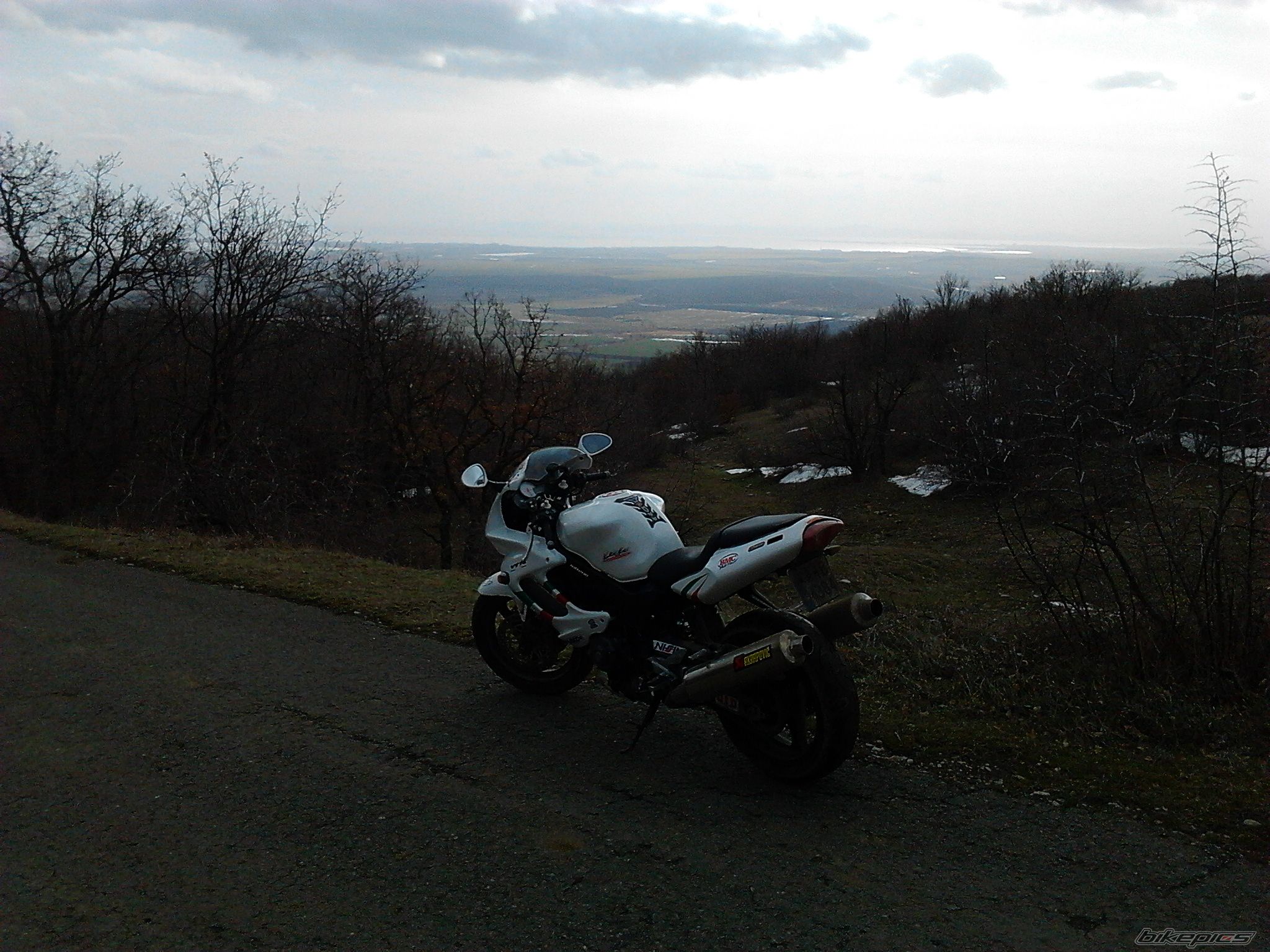 Photo 2512331