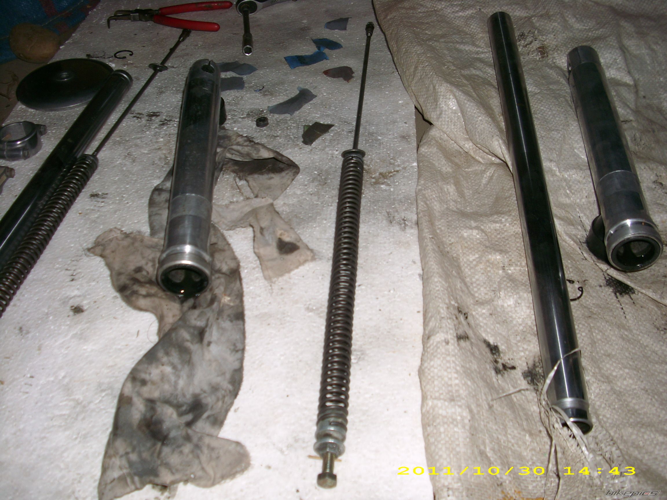 Photo 2512341