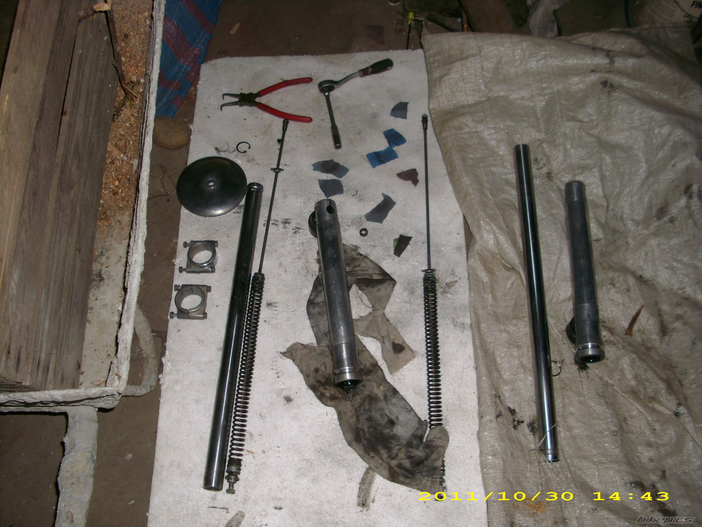 Photo 2512343
