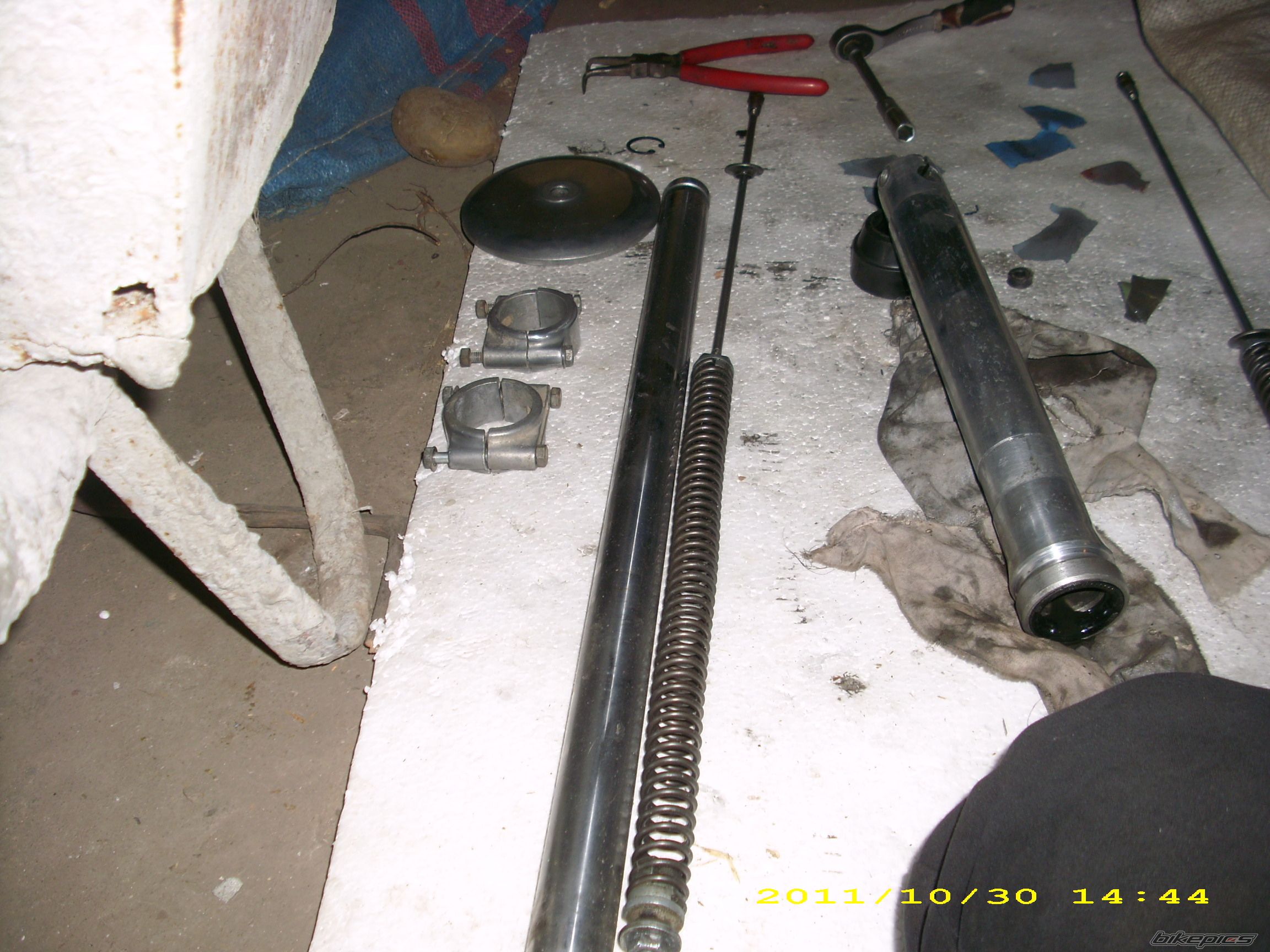 Photo 2512344