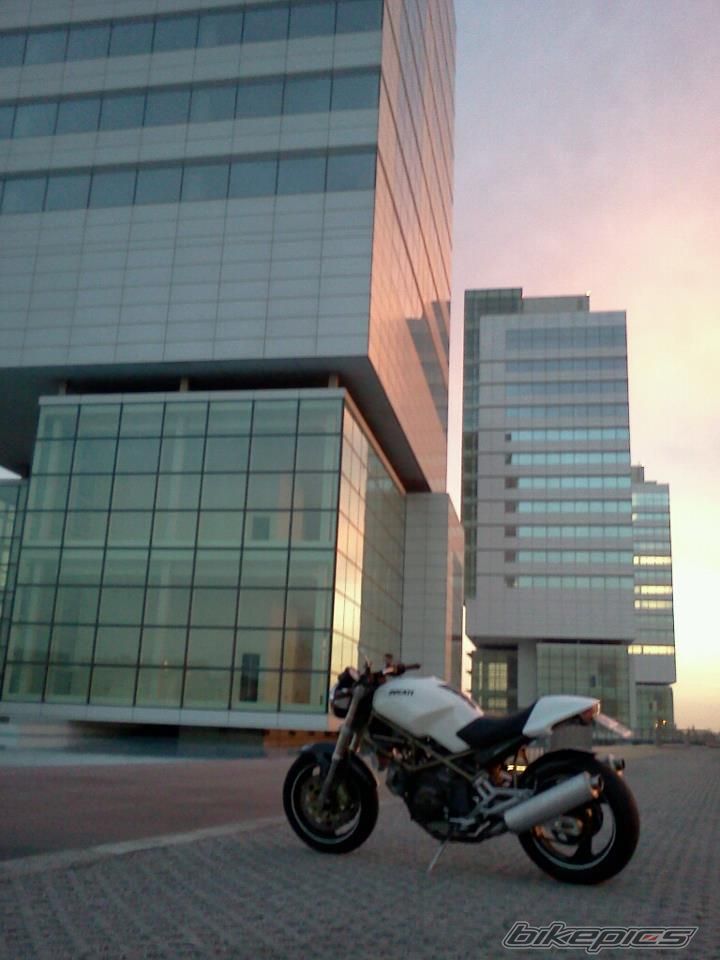 Photo 2512394