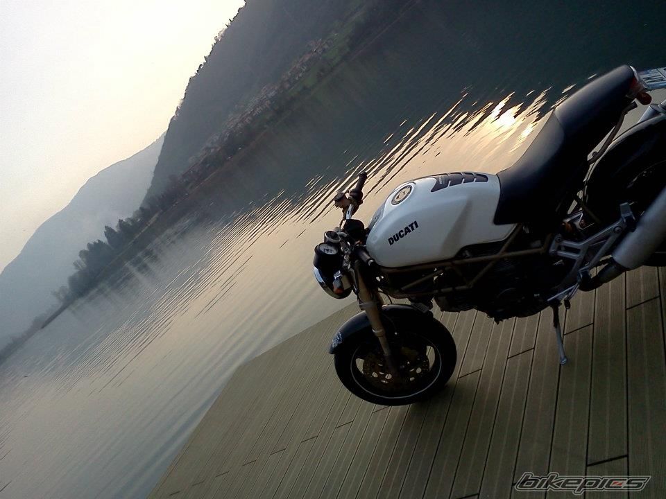 Photo 2512396