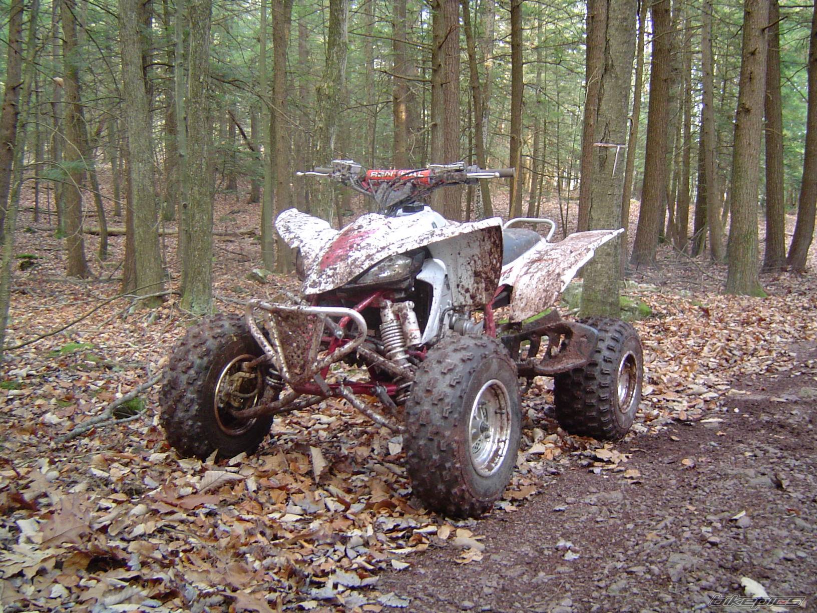 Bike Photo 251250