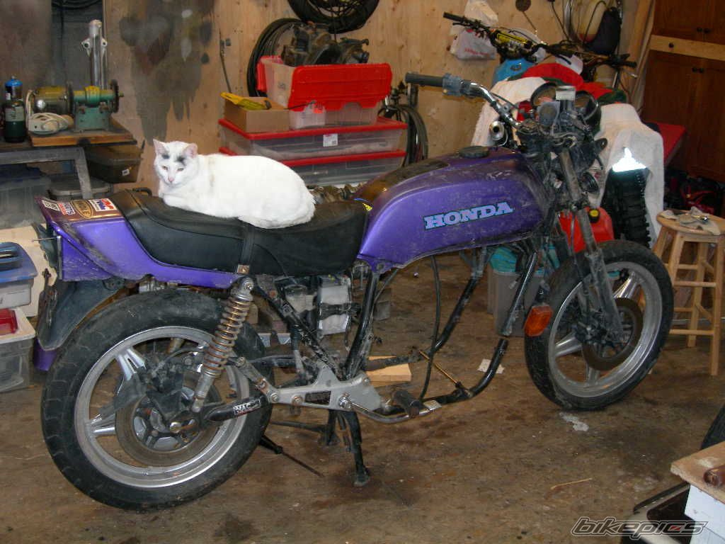 Photo 2512507