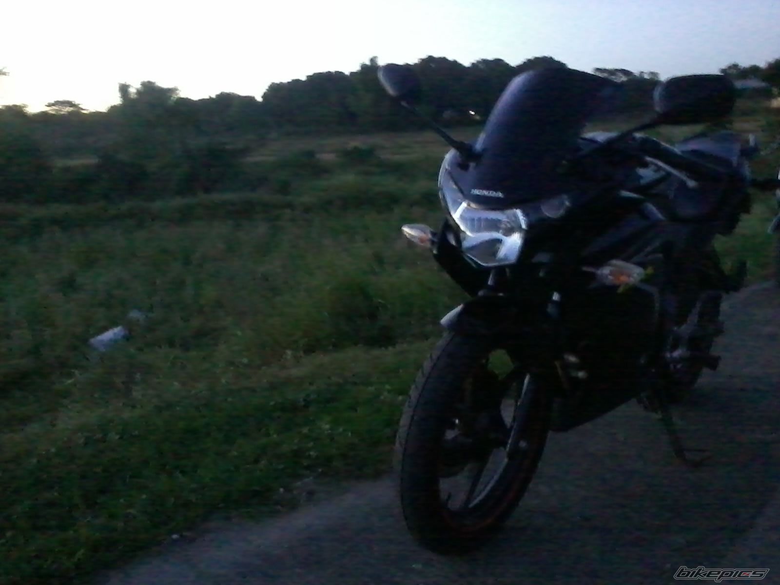 Photo 2512531
