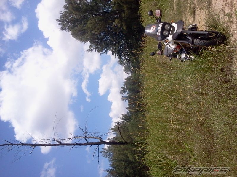 Photo 2512539