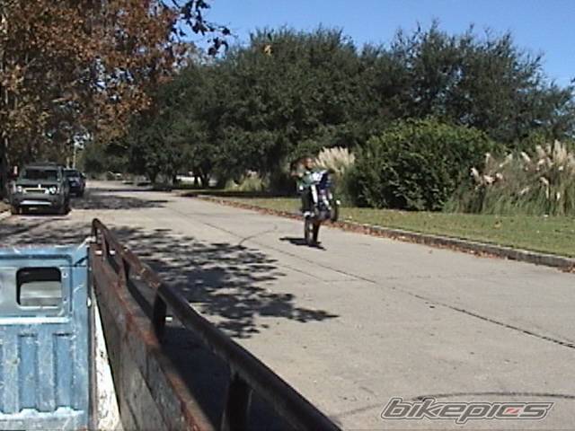 Photo 251259