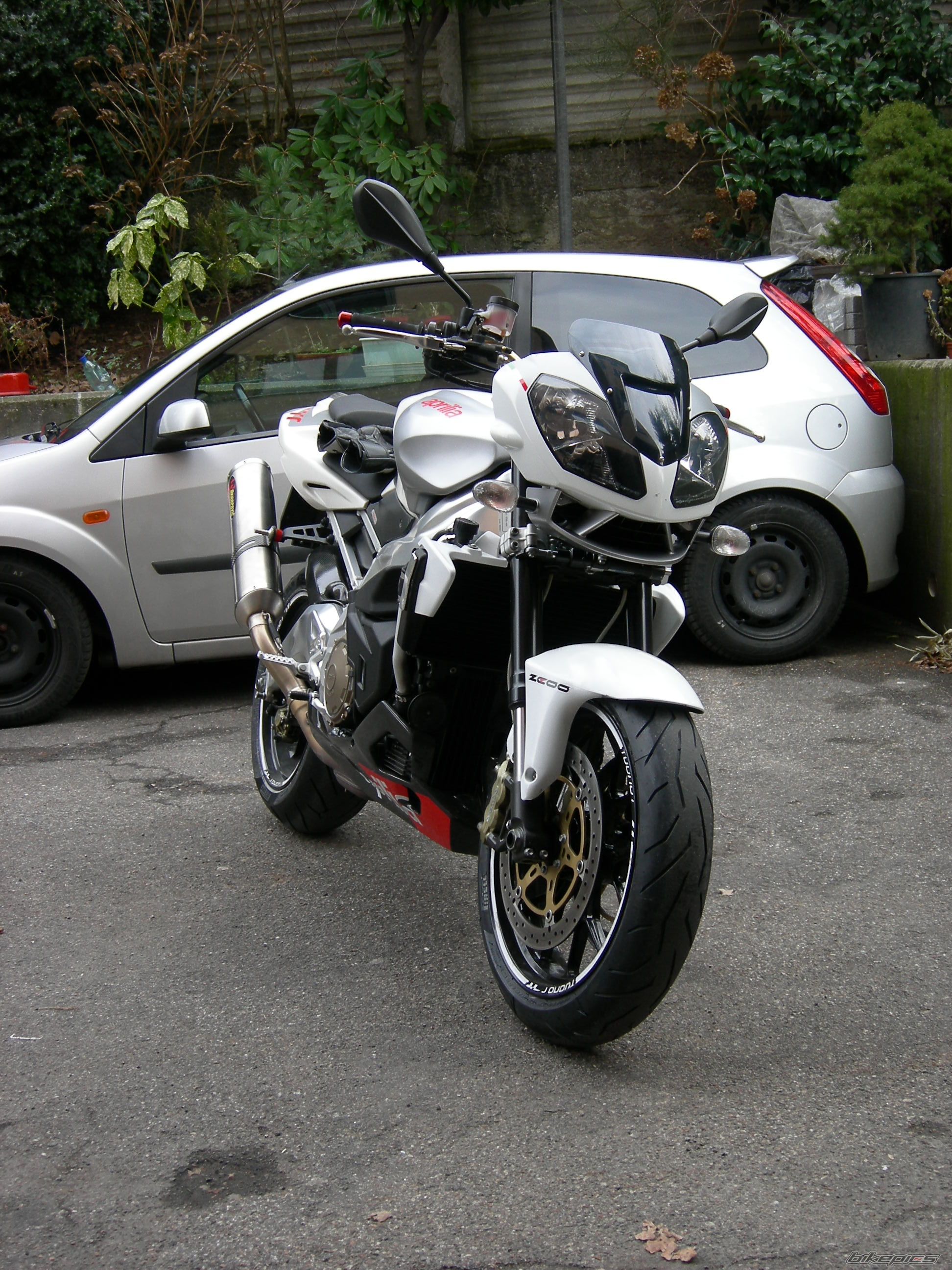Photo 2512615