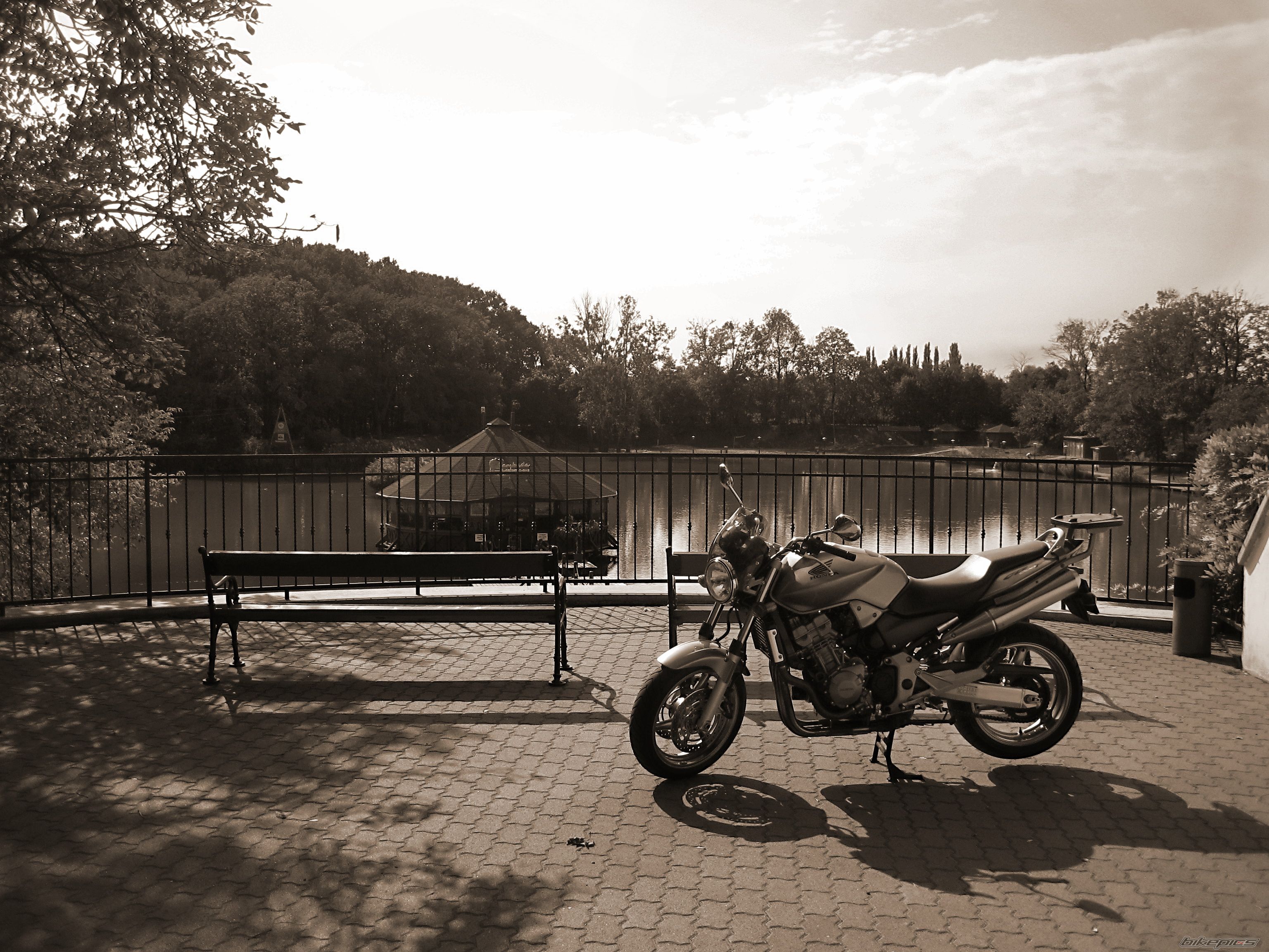 Photo 2512679