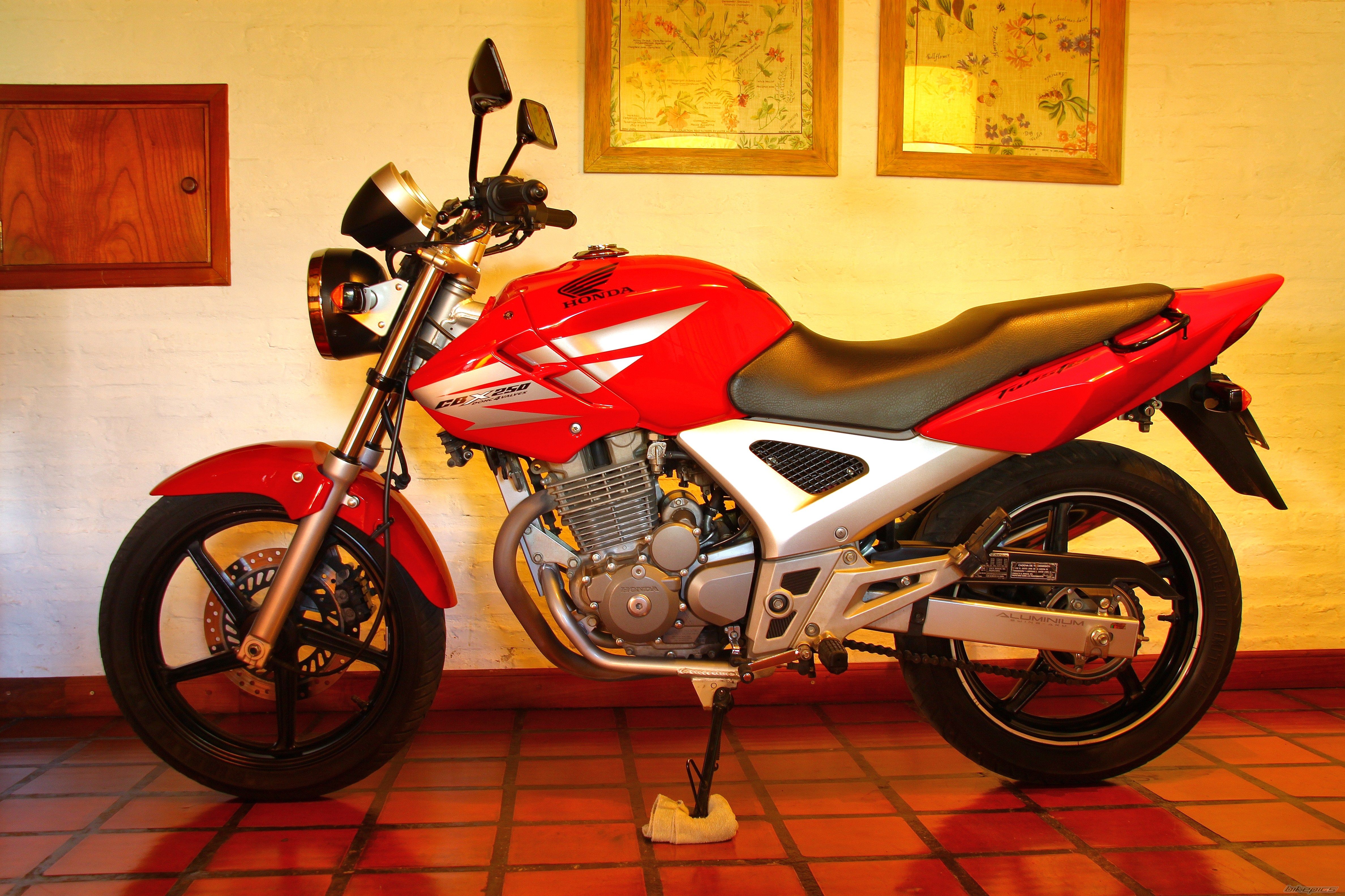Photo 2512710