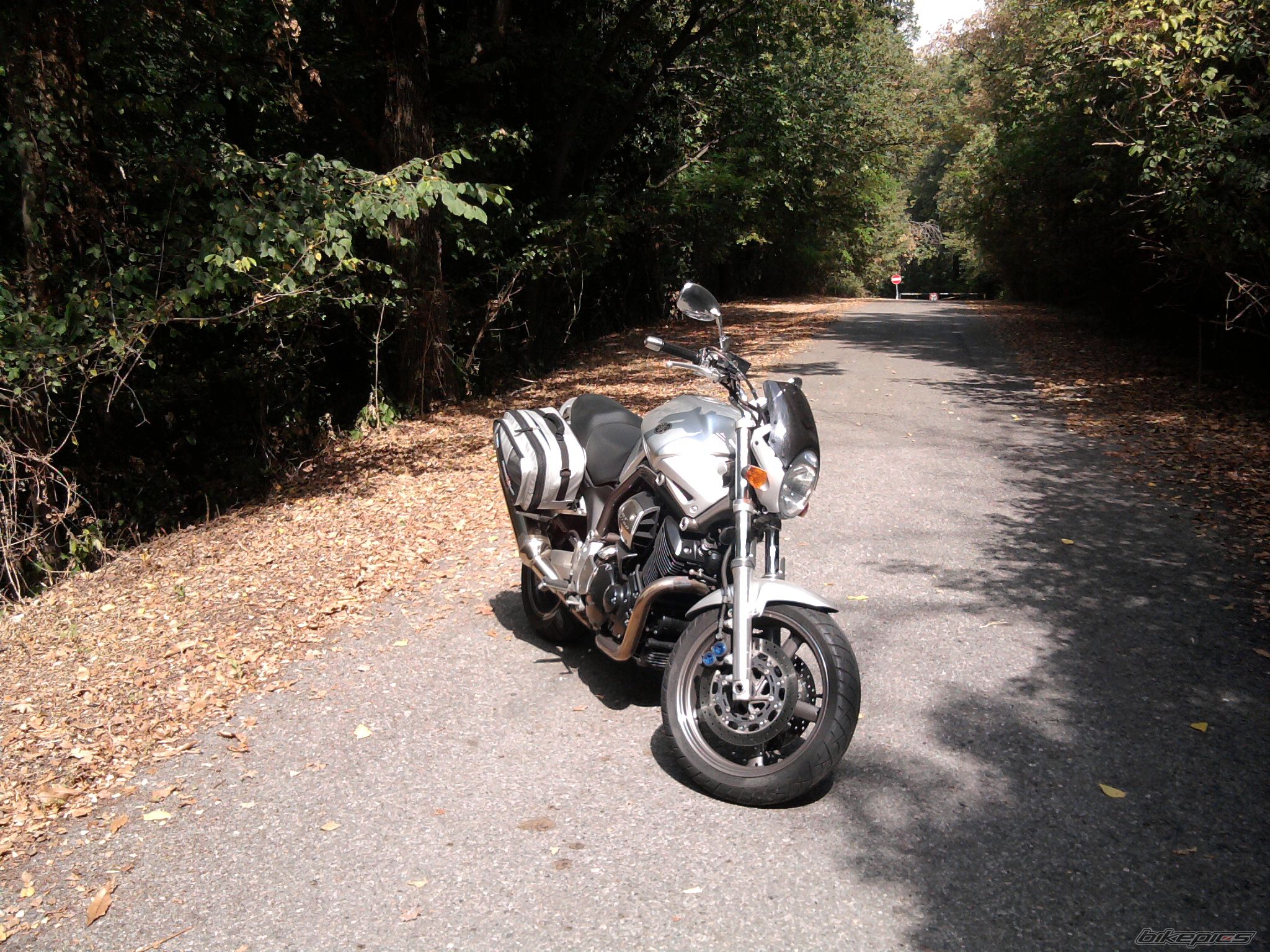 Photo 2512793