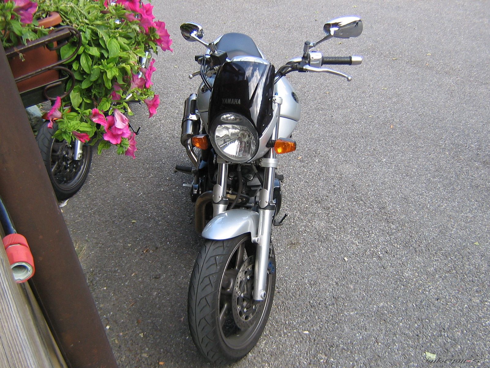 Photo 2512810