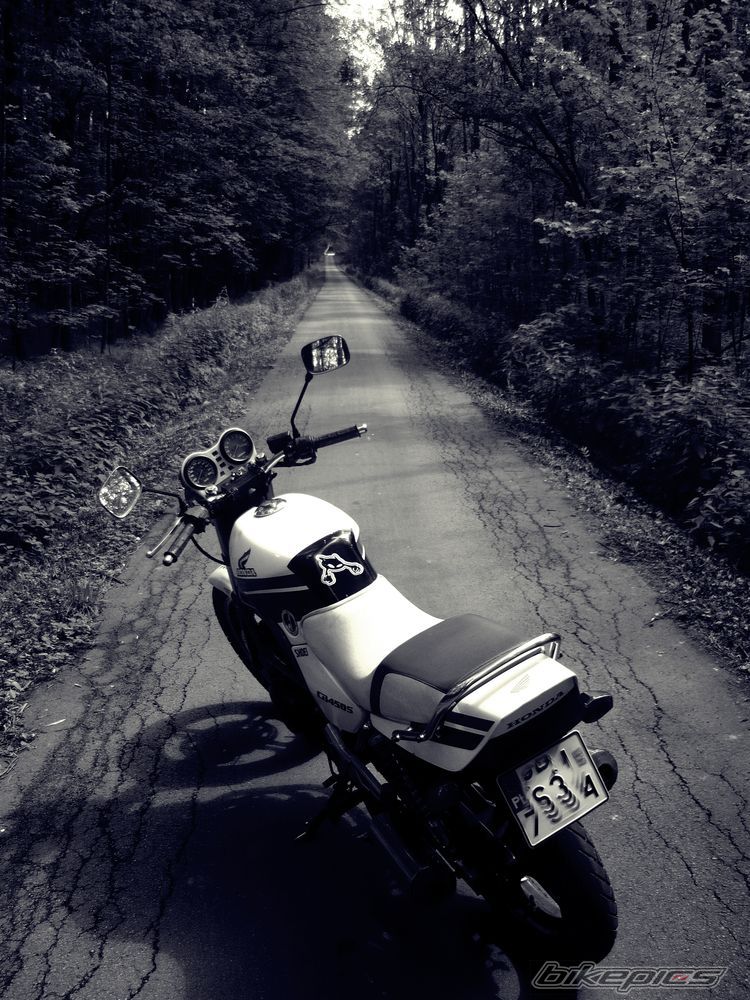 Photo 2512832